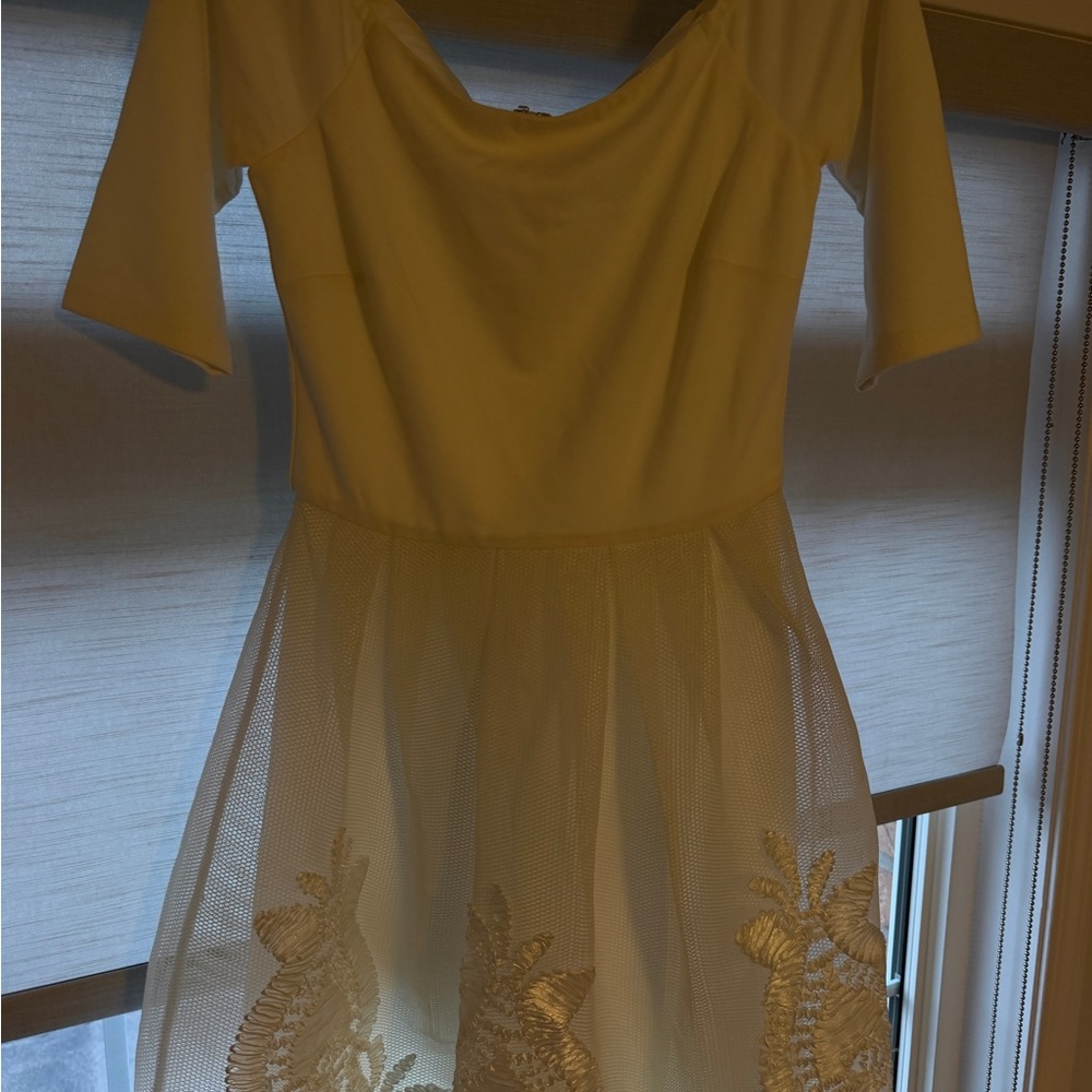Elegant White Embroidered Mesh Skater Dress